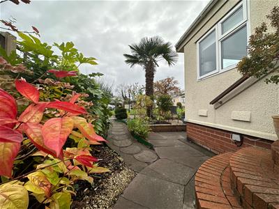 Picture 26